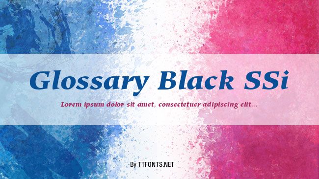 Glossary Black SSi example