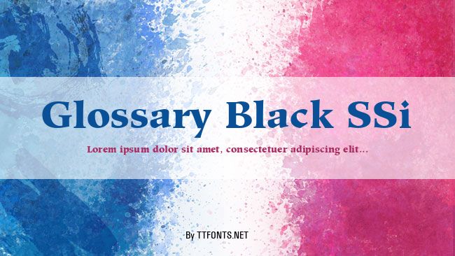 Glossary Black SSi example