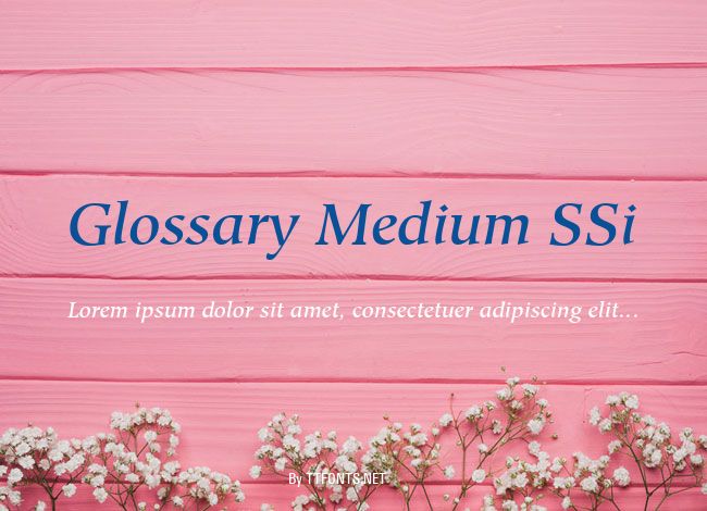 Glossary Medium SSi example