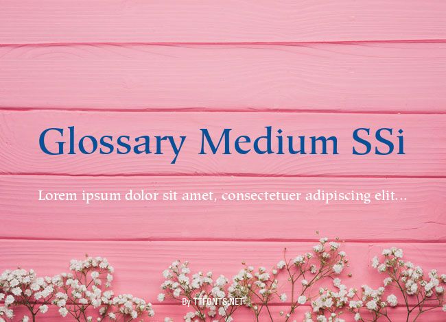 Glossary Medium SSi example