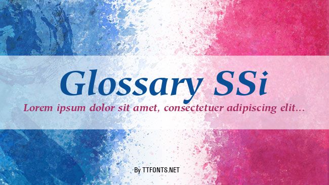 Glossary SSi example