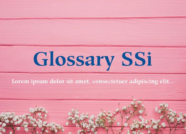 Glossary SSi example