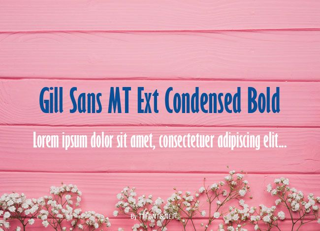 Gill Sans MT Ext Condensed Bold example