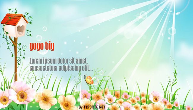 gogo big example