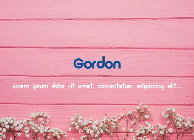 Gordon example