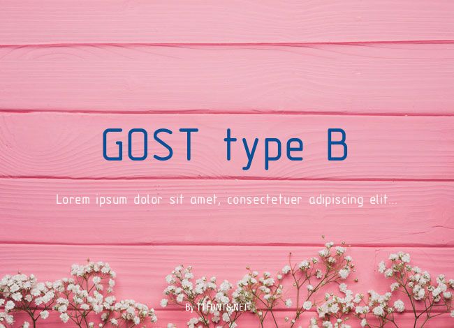 GOST type B example