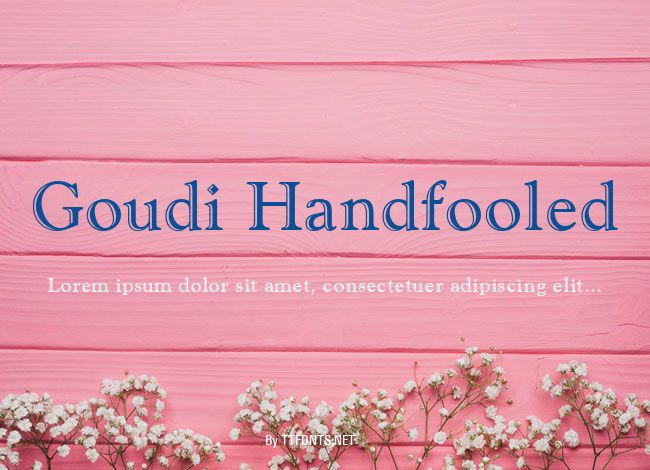 Goudi Handfooled example