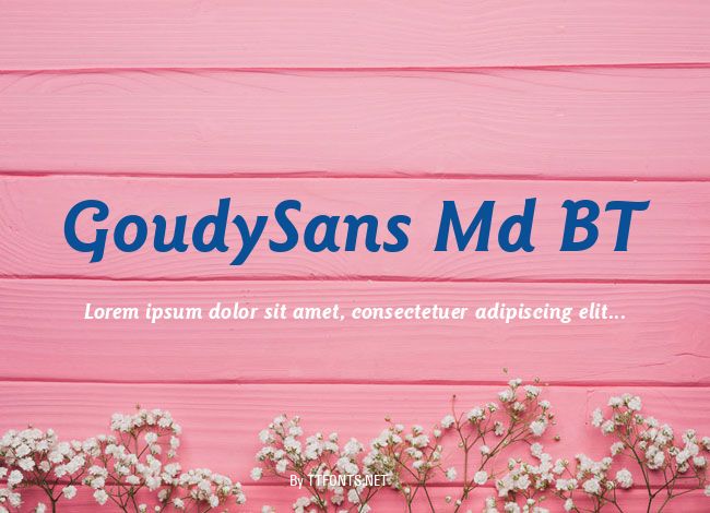 GoudySans Md BT example