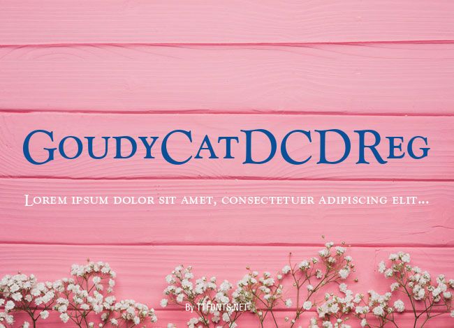 GoudyCatDCDReg example