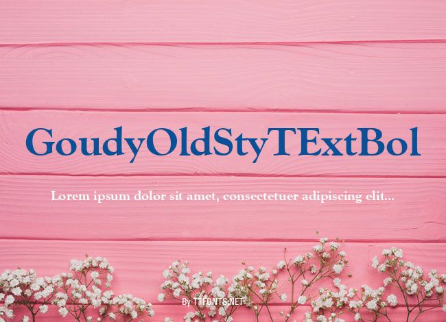 GoudyOldStyTExtBol example