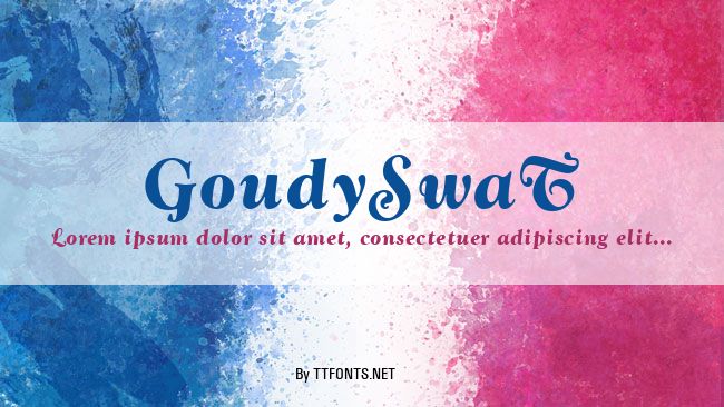 GoudySwaT example