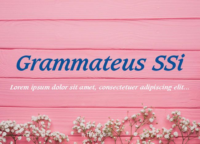 Grammateus SSi example