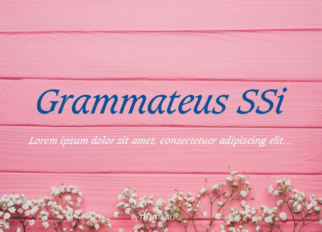 Grammateus SSi example