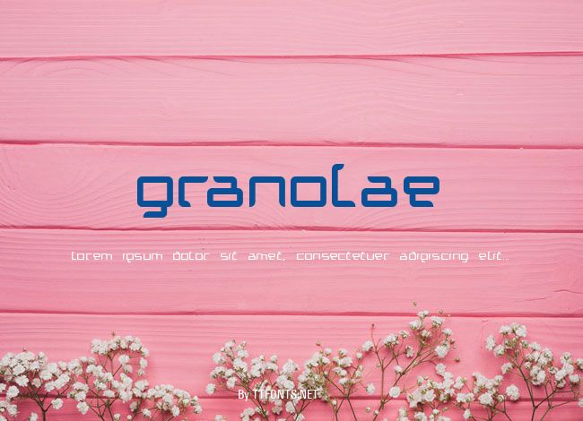 Granolae example