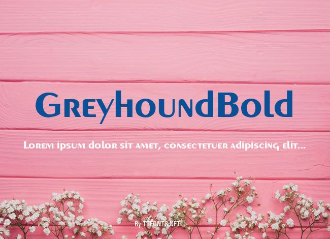GreyhoundBold example