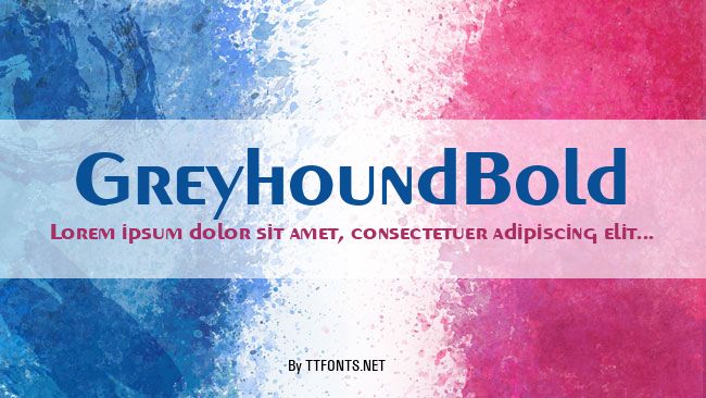 GreyhoundBold example
