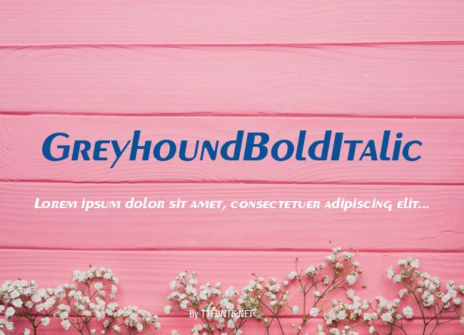 GreyhoundBoldItalic example