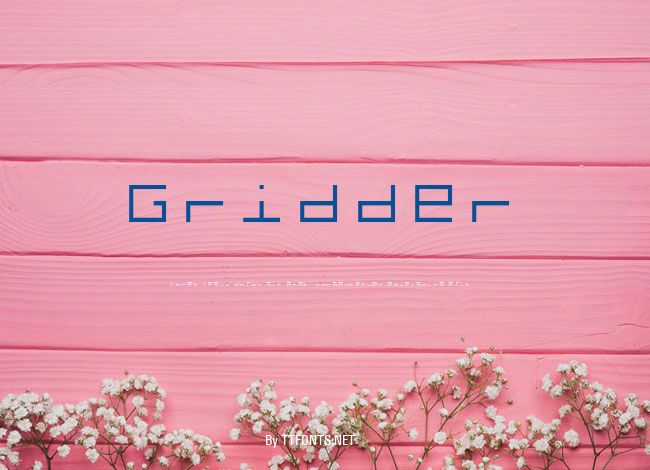 Gridder example