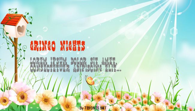 Gringo Nights example