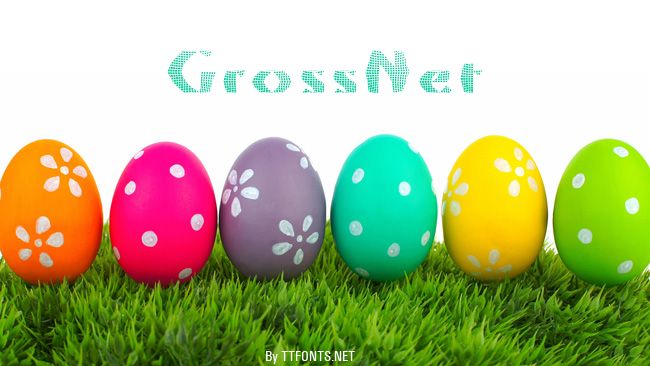 GrossNet example