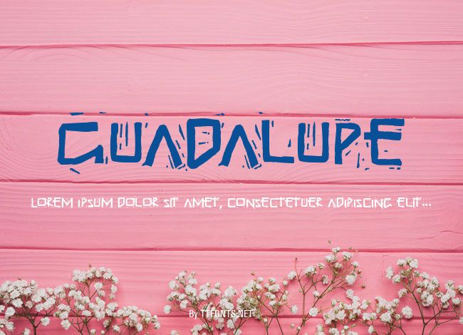 Guadalupe example