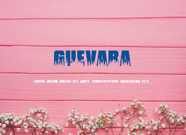 Guevara example