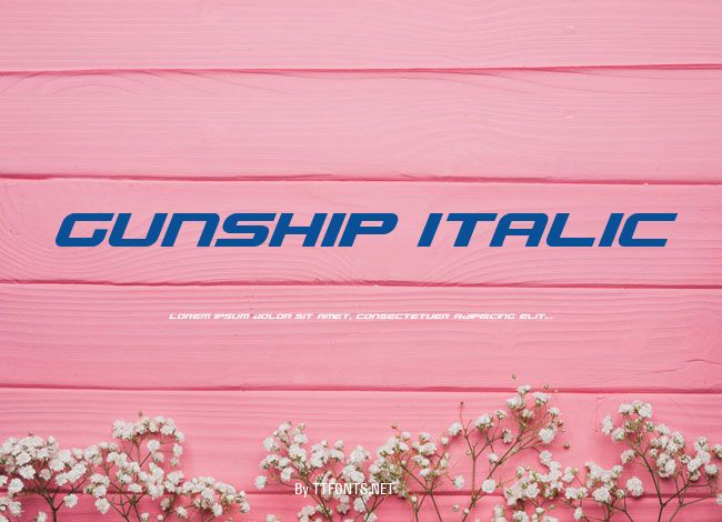 Gunship Italic example