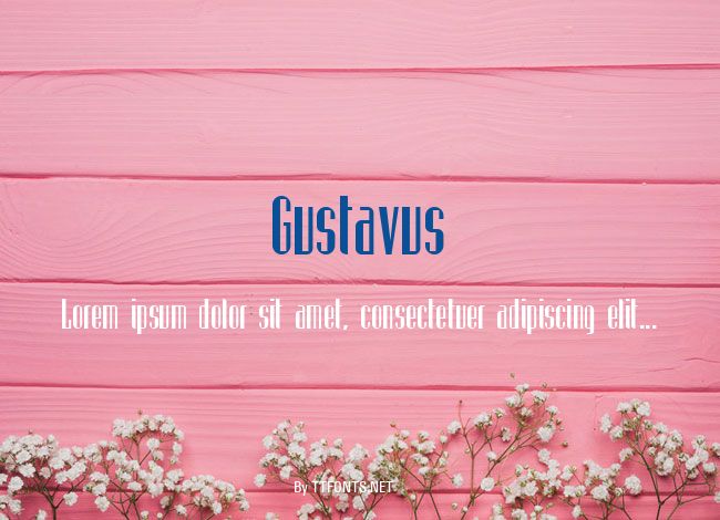 Gustavus example