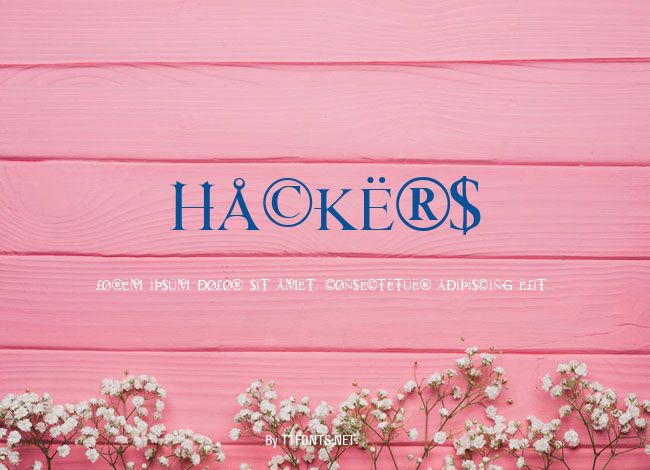 Hackers example