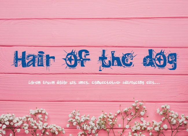 Hair of the dog example