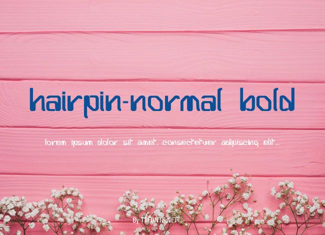 Hairpin-Normal Bold example