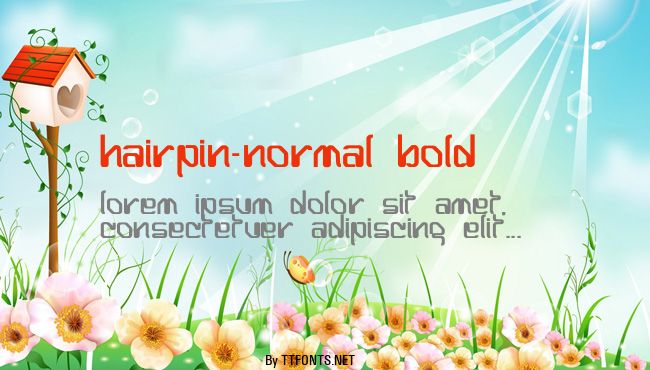 Hairpin-Normal Bold example