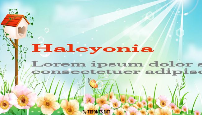Halcyonia example