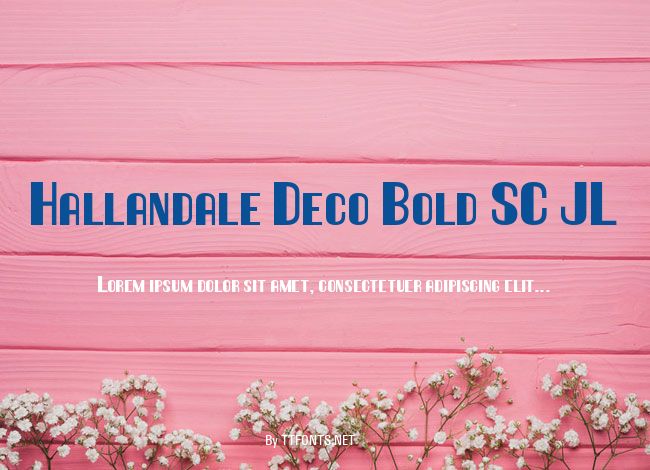Hallandale Deco Bold SC JL example