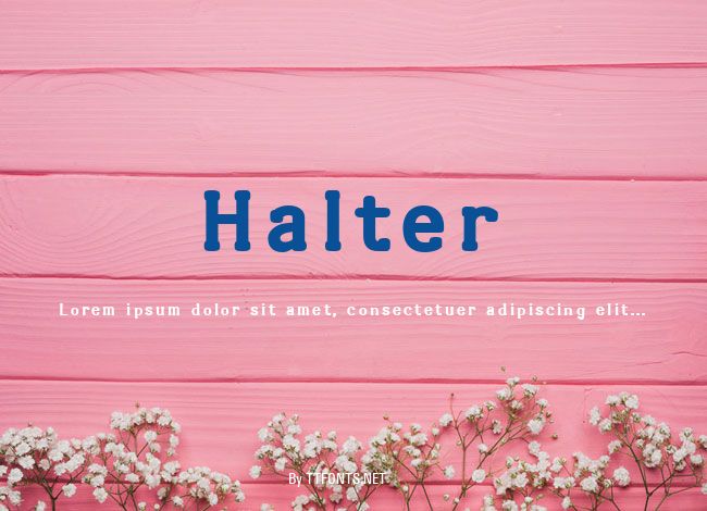 Halter example