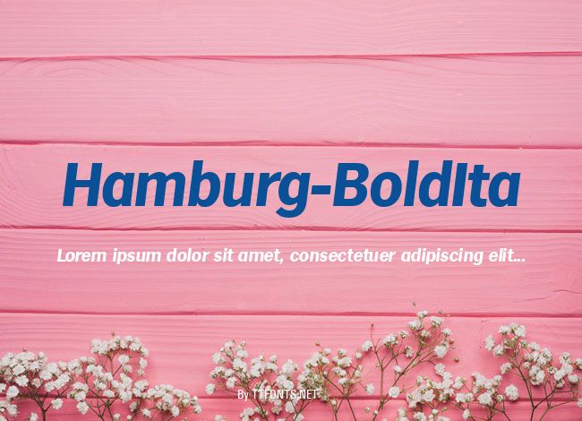 Hamburg-BoldIta example