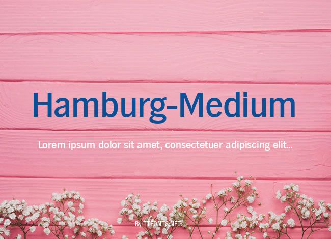 Hamburg-Medium example