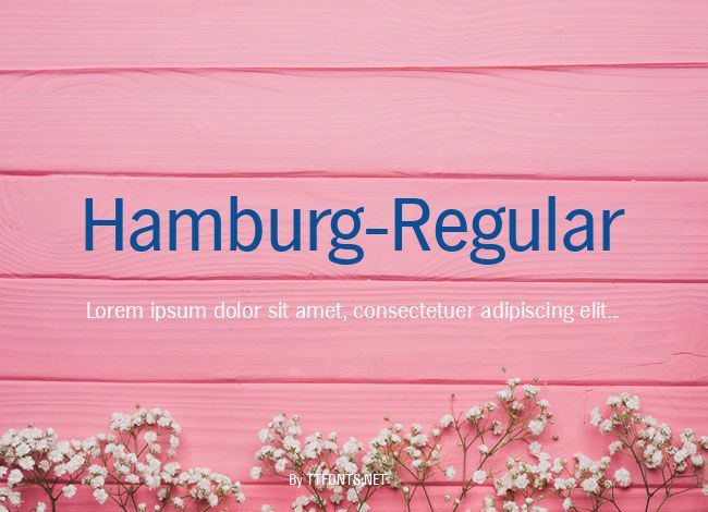 Hamburg-Regular example