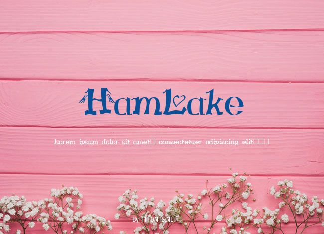 HamLake example