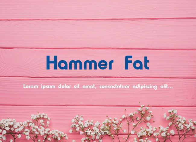 Hammer Fat example