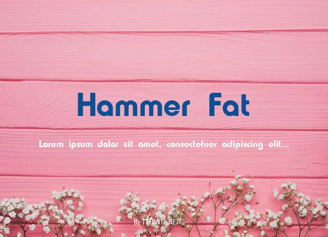 Hammer Fat example