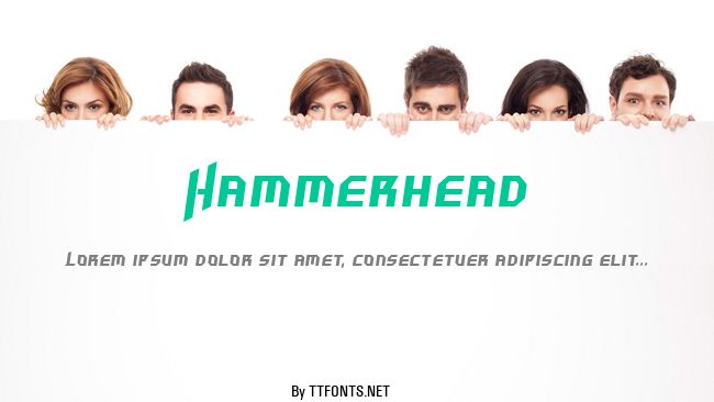 Hammerhead example