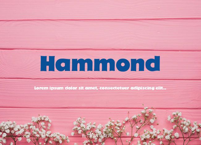 Hammond example