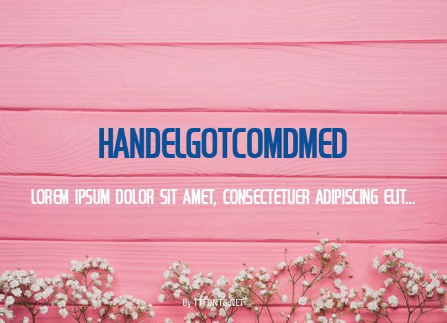 HandelGotComDMed example