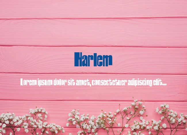Harlem example