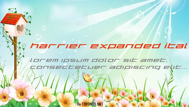Harrier Expanded Italic example