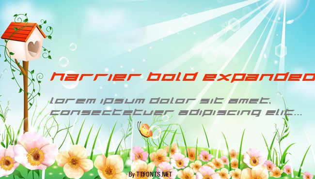 Harrier Bold Expanded Italic example