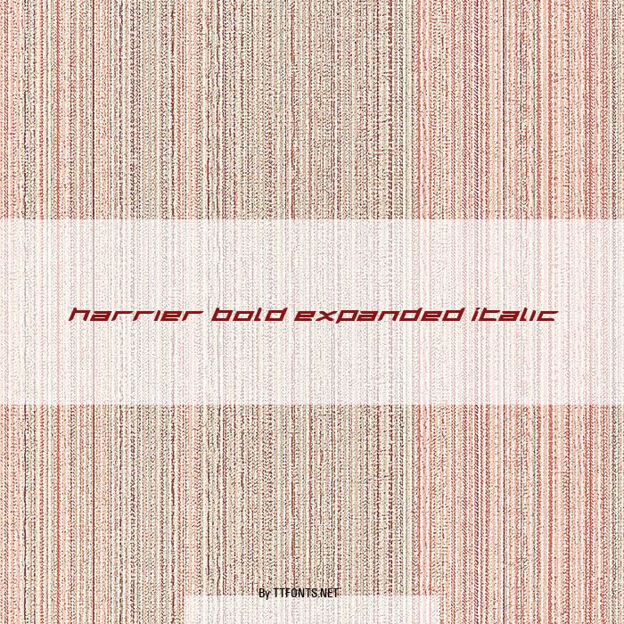 Harrier Bold Expanded Italic example