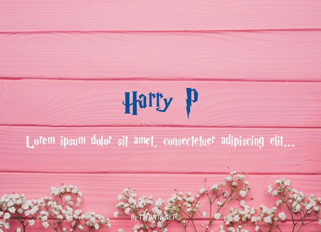 Harry P example