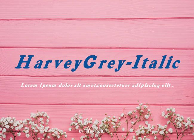 HarveyGrey-Italic example